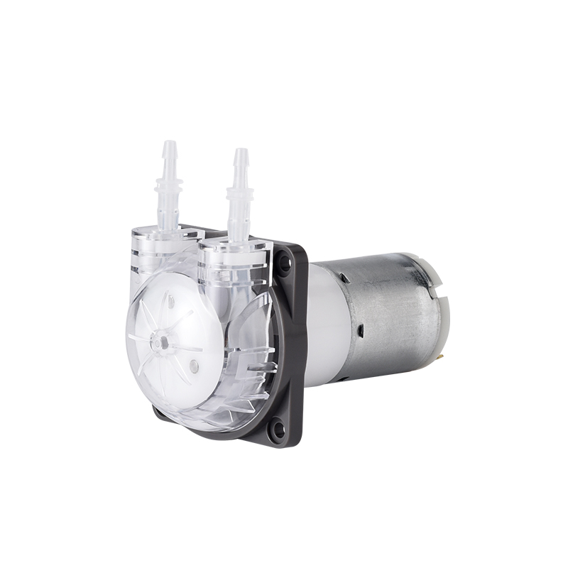 Pengpu Micro Nhu Động Bơm Ô Tô - đánh giá và giá Mini Peristaltic Pump 12V
