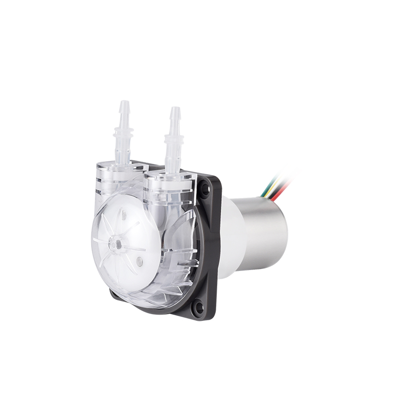 Pengpu Micro Nhu Động Bơm Ô Tô - đánh giá và giá Mini Peristaltic Pump 12V